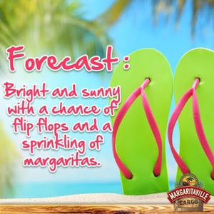 Meet your Posher, Sandy